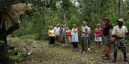Excursion de marche avec les lions - Ile Maurice Excursion de marche avec les lions - Ile Maurice