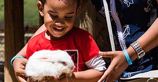 Aventure au Parc Animalier Casela pour Enfants