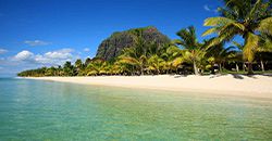 La Plage du Morne