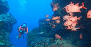 Essai de plongée pour les débutants à l'île Maurice - Côte