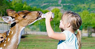 Journée Gardien de Zoo Forfait Enfant au Casela Nature Parks