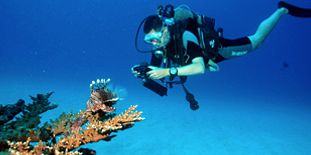 Cours Padi à Tamarin – Niveau II