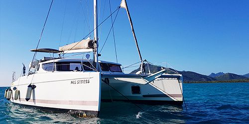 Demi-journée Exclusive en Catamaran - Dauphins + Snorkelling