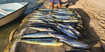 Deep fishing grand 47ft boat half promotion25