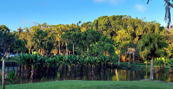 Jardin Botanique de Curepipe