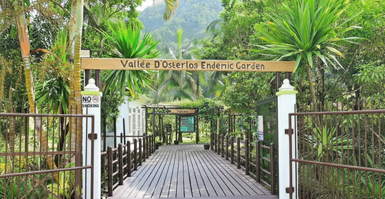 Jardin Endémique de la Vallée d’Osterlog