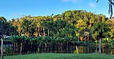 Jardin Botanique de Curepipe