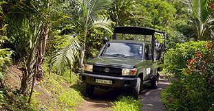 Tour de l’Ebony Forest avec Promenade en Jeep 4x4 (Love Tree)