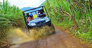Quad Ride In Nature At The East Coast (Etoile Reserve)