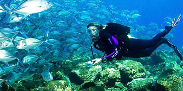 Padi Discover Diving - Initiation Dives - Tamarin