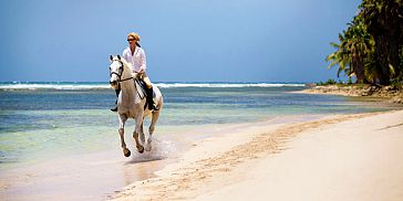Horse Riding On Belle Mare Beach