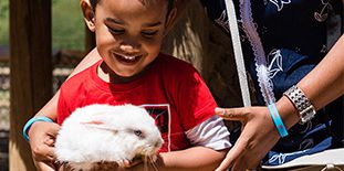Aventure au Parc Animalier Casela pour Enfants