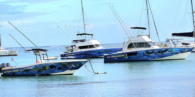 Private speed boat trip coin mire flat island half2011