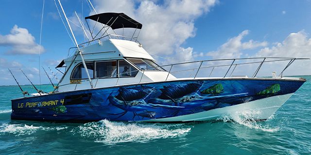 Private speed boat trip coin mire flat island half2016