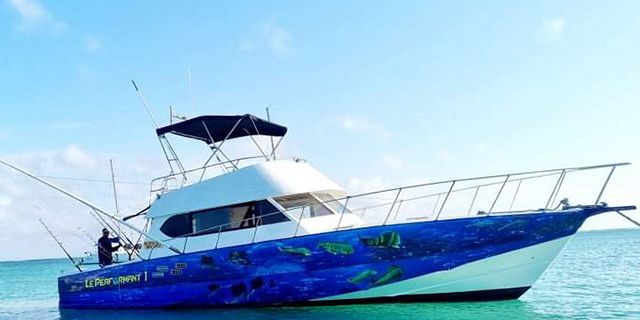 Private speed boat trip coin mire flat island half2018