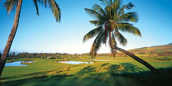 Mauritius golf le telfair