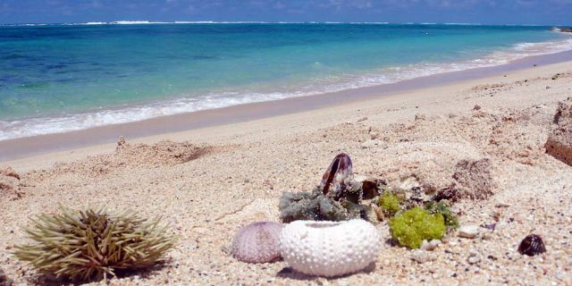 Excursion D Une Journee A L Ile Aux Chats Et L Ile Hermitage Vacances Maurice