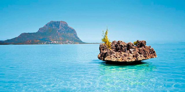 Crystal rock dolphins trip mauritius