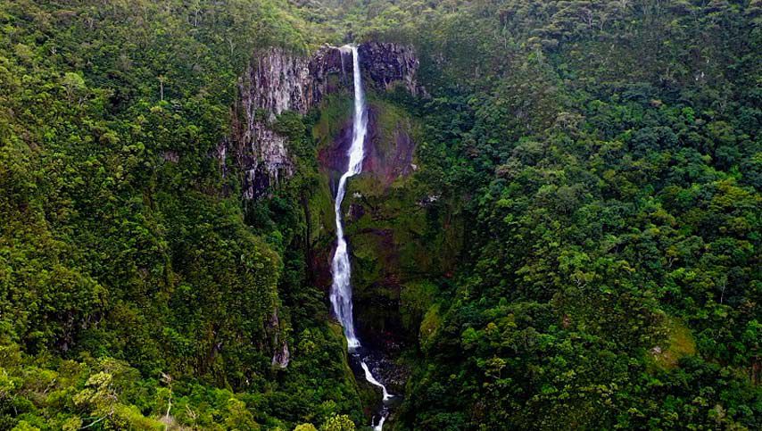 Black River Gorges Waterfalls - Mauritius