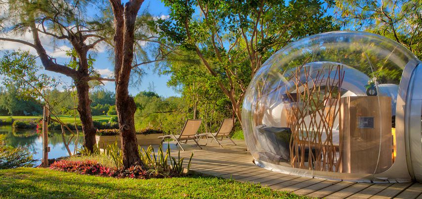 Bubble Lodge