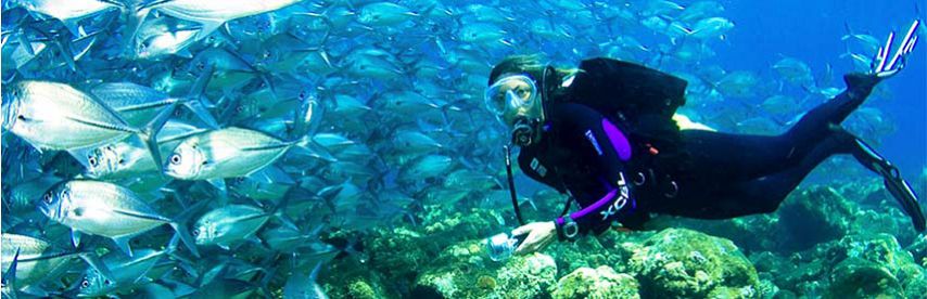 SCUBA Diving Mauritius